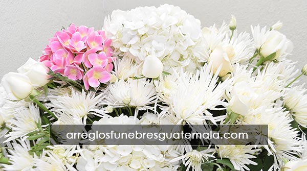 envio de flores a guatemala para funerales