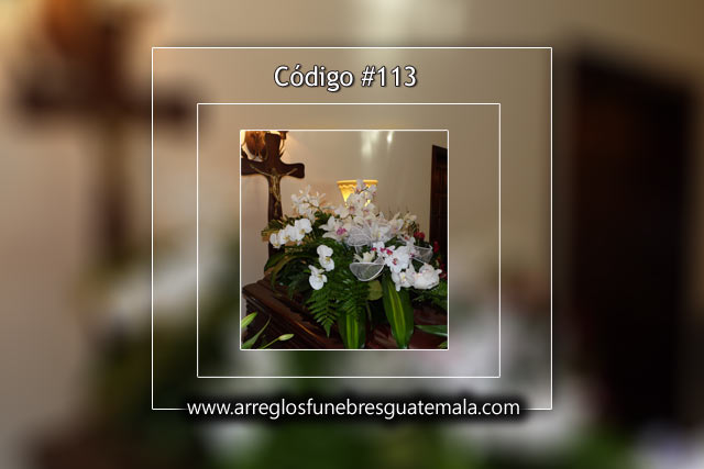 Orquídeas en Guatemala para enviar condolencias