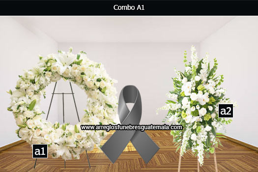 Arreglos en guatemala para enviar condolencias a domicilio