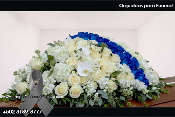 flores para funeral
