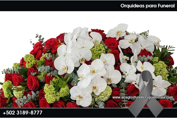 orquideas funeral especial