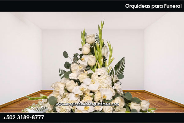 flores bellas funeral