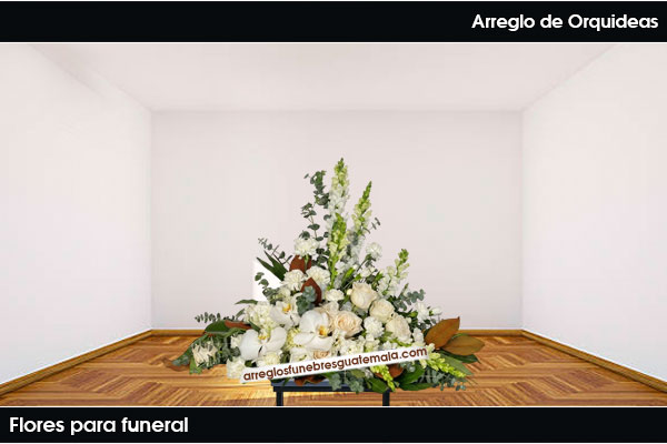 Orquideas para funerales