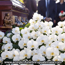 flores orquideas para funeral