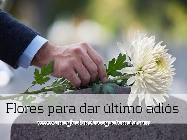 flores para funeral
