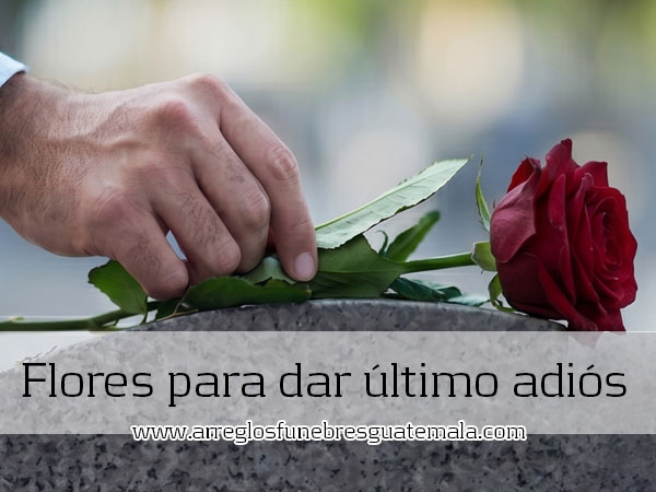rosas para funeral