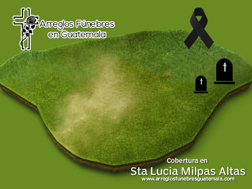 envio de flores a santa lucia milpas altas