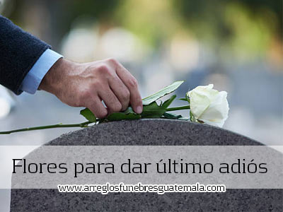 flores para dar ultimo adiós a ser querido